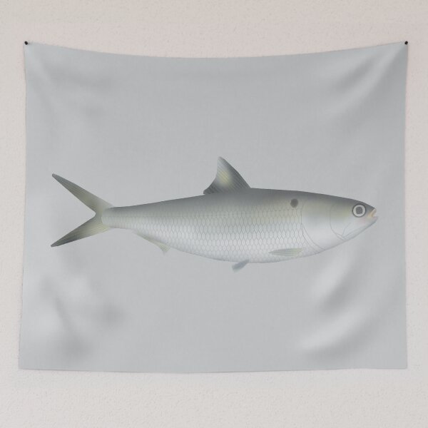 Item preview, Hilsa Shad designed and sold by fishfolkart.