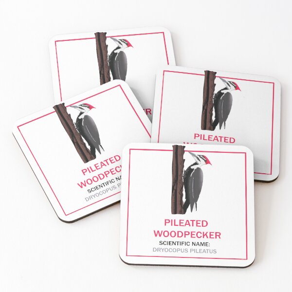 Item preview, Pileated Woodpecker - Fowl Words Series designed and sold by Adrienne Price Art.