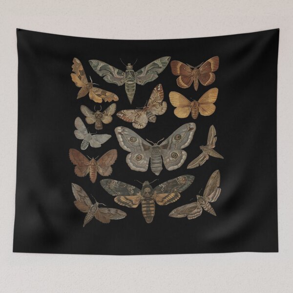 Item preview, Moth Cottagecore Bug Aesthetic 		 designed and sold by baabmmanry52.