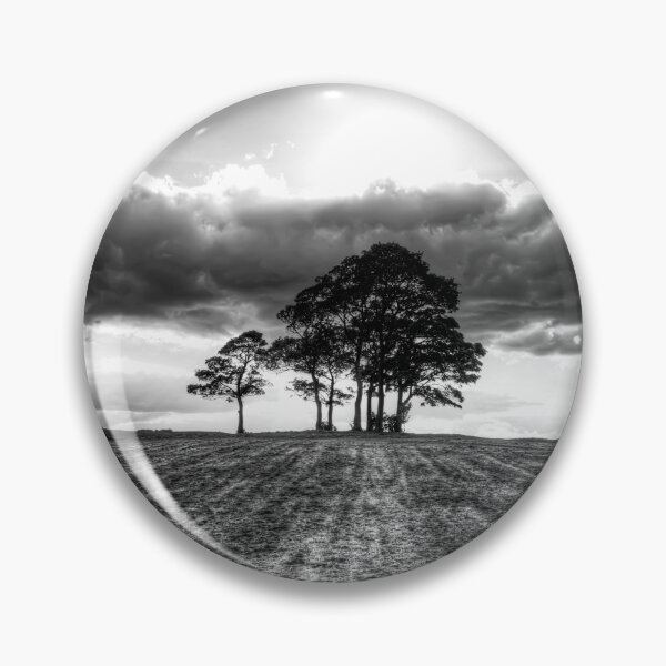 Item preview, Silhouetted Trees at Sunset designed and sold by Paul Thompson Photography.