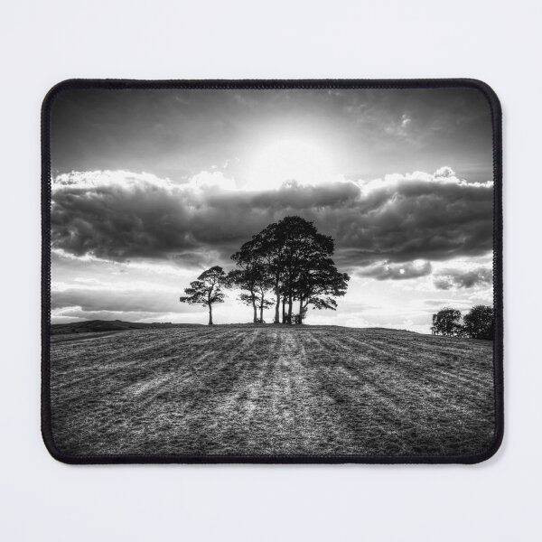 Item preview, Silhouetted Trees at Sunset designed and sold by Paul Thompson Photography.