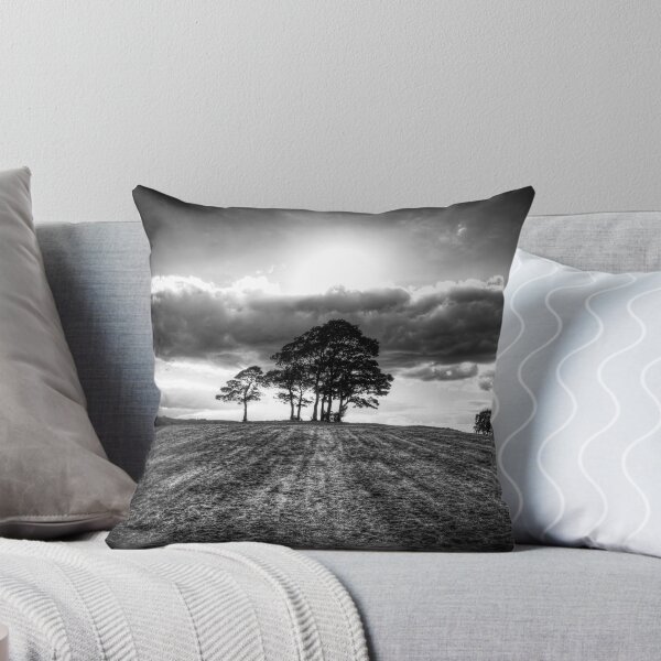 Item preview, Silhouetted Trees at Sunset designed and sold by Paul Thompson Photography.