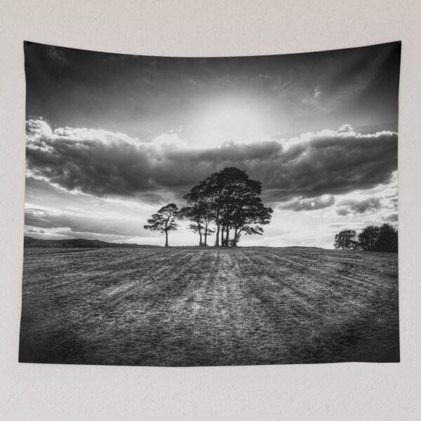 Item preview, Silhouetted Trees at Sunset designed and sold by Paul Thompson Photography.