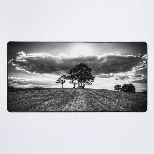 Item preview, Silhouetted Trees at Sunset designed and sold by Paul Thompson Photography.