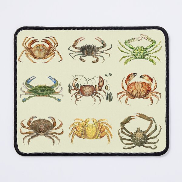 Item preview, Vintage Crab Illustration Ocean Animal Marine Biology Coastal Art designed and sold by chrisrivait.