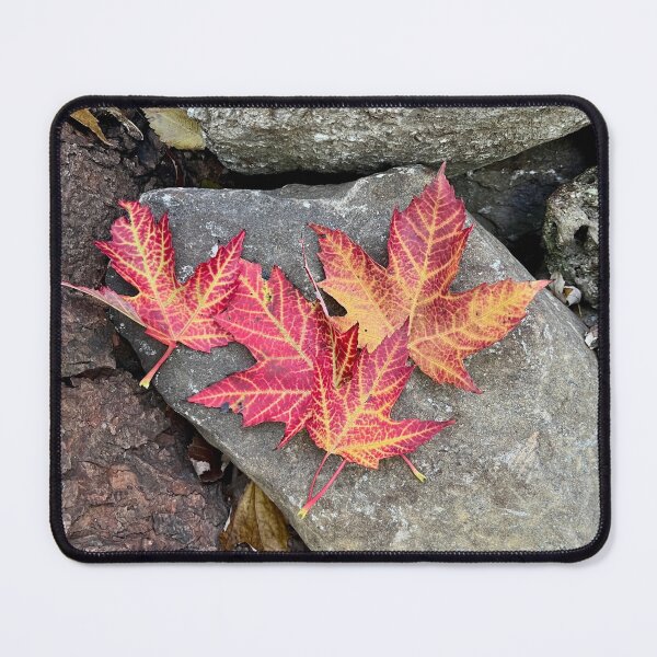 Item preview, The Maple's Dance designed and sold by Lana Magnolia.