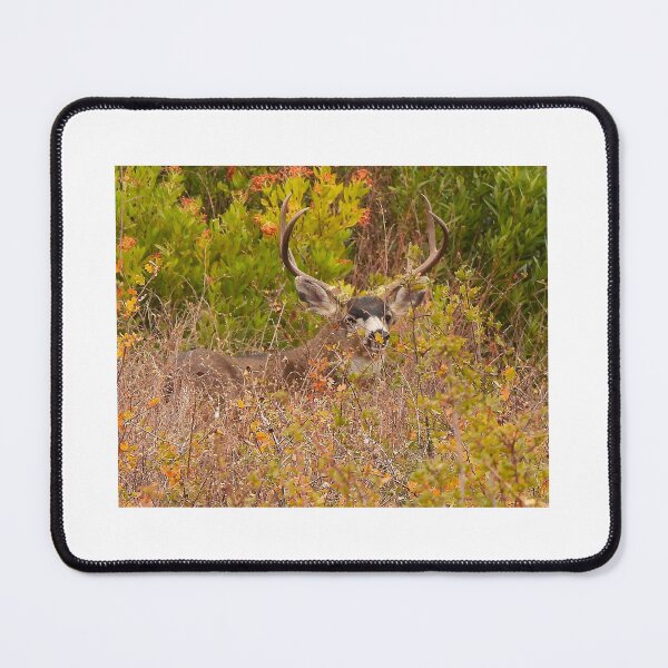 Item preview, A Blacktail Buck in the Brush designed and sold by Wonders Of Paradise.