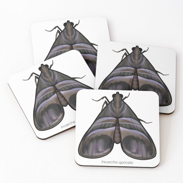 Item preview, Incarcha aporalis, labeled designed and sold by marinemolecules.