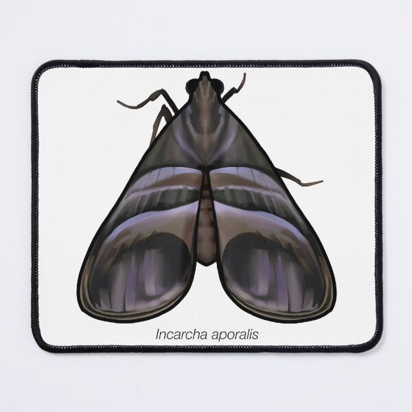 Item preview, Incarcha aporalis, labeled designed and sold by marinemolecules.