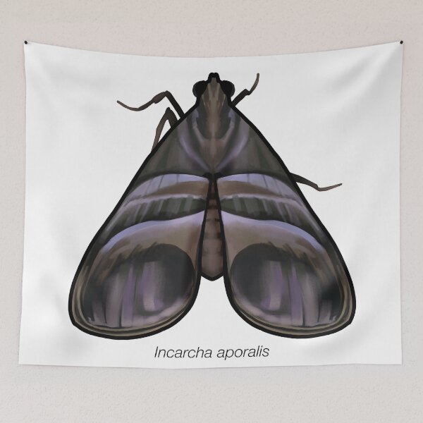 Item preview, Incarcha aporalis, labeled designed and sold by marinemolecules.