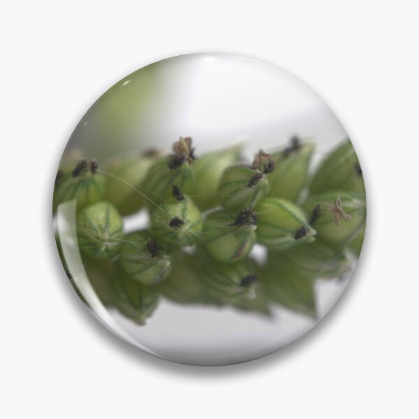 Item preview, Grass Inflorescence Under the Microscope (Studio White) designed and sold by Petalgrain.