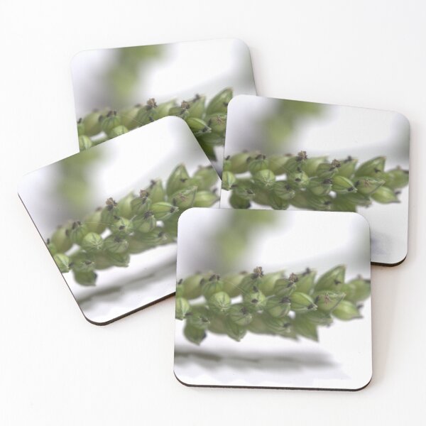 Item preview, Grass Inflorescence Under the Microscope (Studio White) designed and sold by Petalgrain.