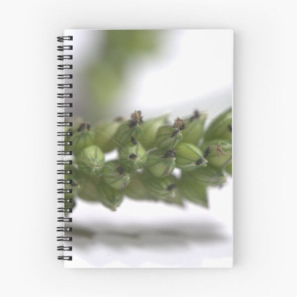 Item preview, Grass Inflorescence Under the Microscope (Studio White) designed and sold by Petalgrain.