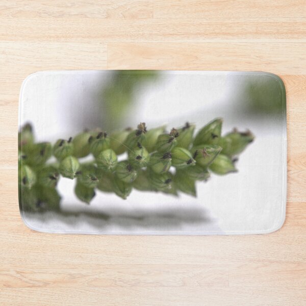 Item preview, Grass Inflorescence Under the Microscope (Studio White) designed and sold by Petalgrain.