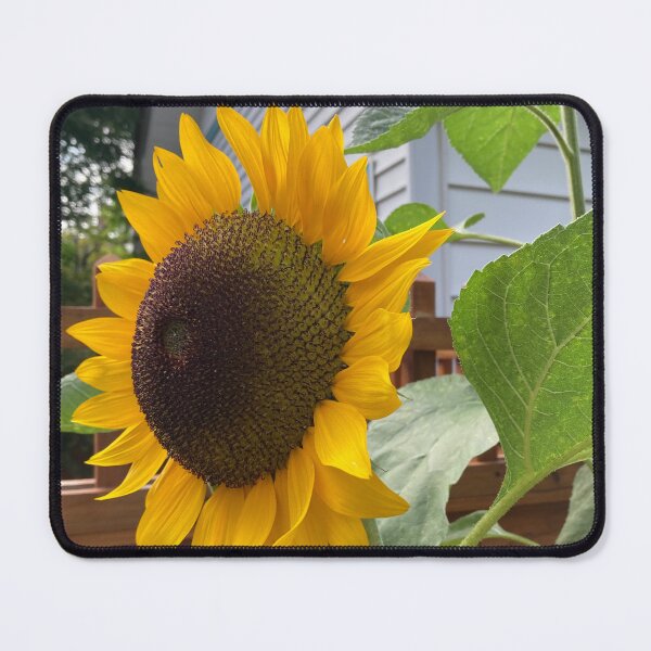 Item preview, Pretty Perfection designed and sold by Jeanne Henner.