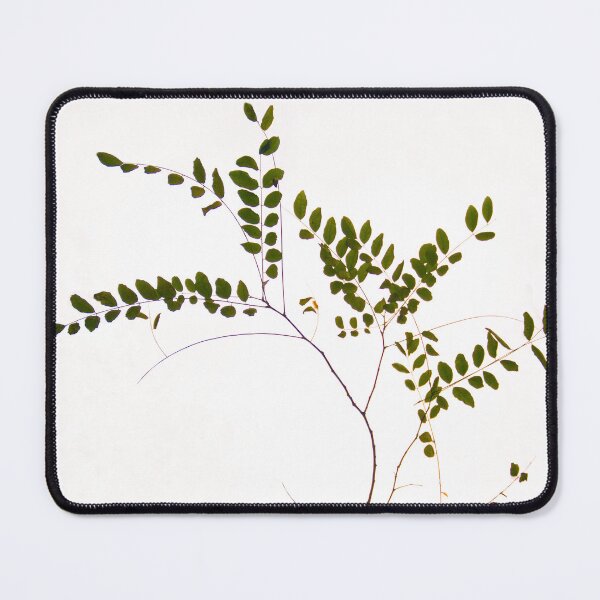 Item preview, Tree delicate branch designed and sold by TessAndre.