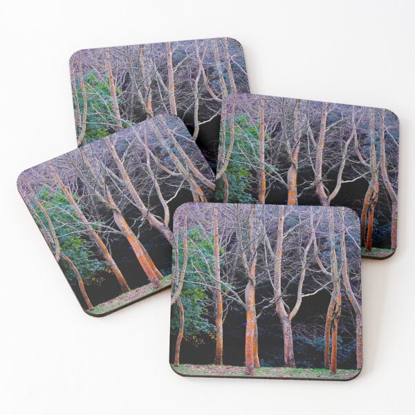Item preview, Autumn in the woods-Nature designed and sold by TessAndre.