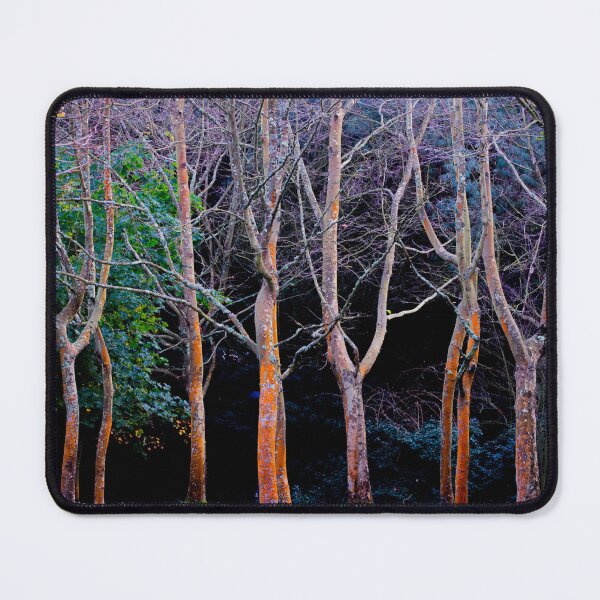 Item preview, Autumn in the woods-Nature designed and sold by TessAndre.