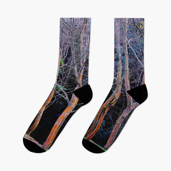 Item preview, Autumn in the woods-Nature designed and sold by TessAndre.