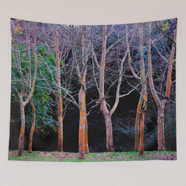 Item preview, Autumn in the woods-Nature designed and sold by TessAndre.