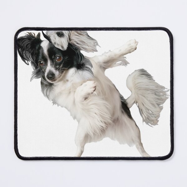 Item preview, Maeby the Papillon Dog Dabbing designed and sold by Maeby's Bazaar.
