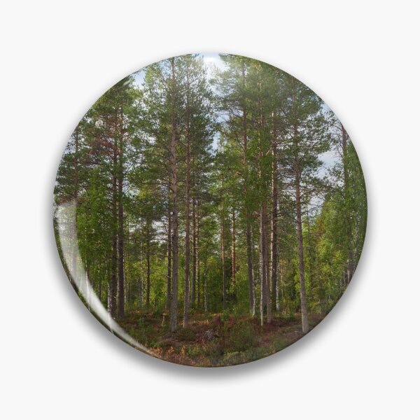 Item preview, The sun makes the change. Kuusamo 2025 designed and sold by Jouko Lehto Photography.