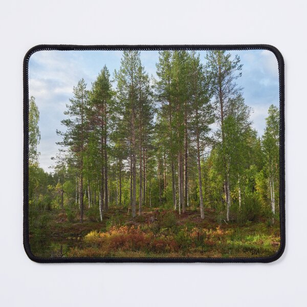 Item preview, The sun makes the change. Kuusamo 2025 designed and sold by Jouko Lehto Photography.