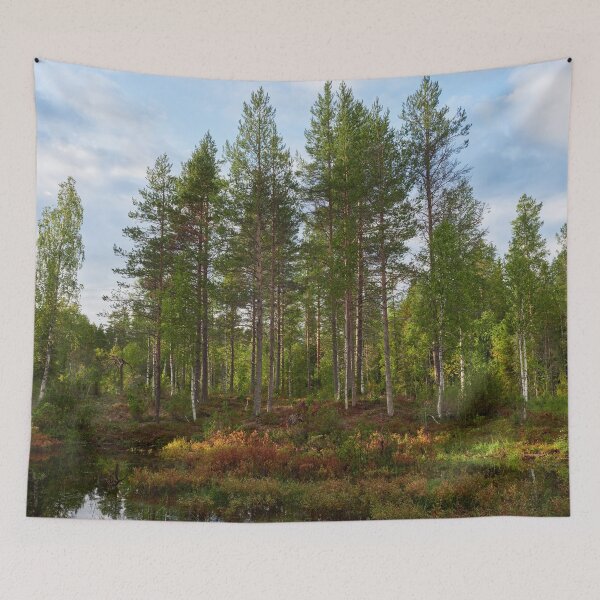 Item preview, The sun makes the change. Kuusamo 2025 designed and sold by Jouko Lehto Photography.