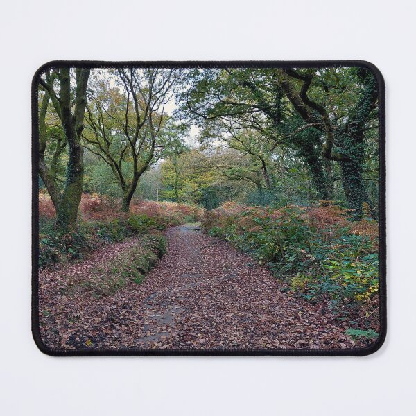 Item preview, Autumn hues designed and sold by Leighton Collins.