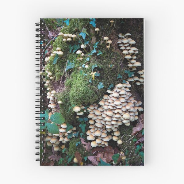 Item preview, Woodland mushrooms designed and sold by Leighton Collins.