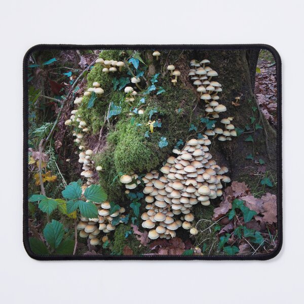 Item preview, Woodland mushrooms designed and sold by Leighton Collins.
