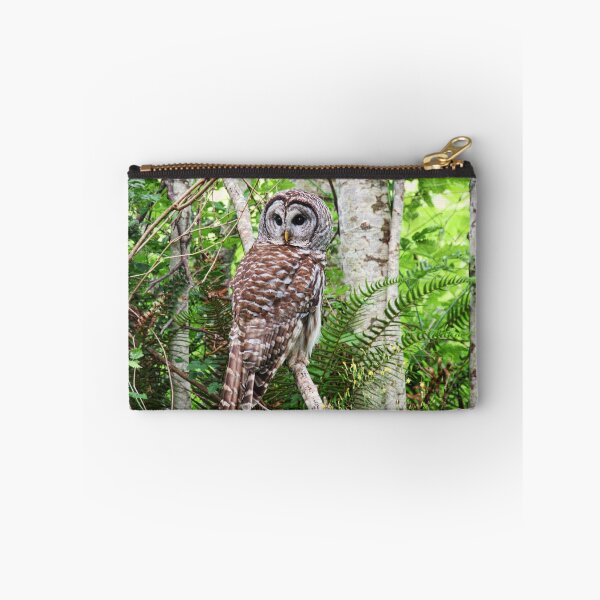 Item preview, Barred Owl in Alder Forest designed and sold by Peggy Collins.