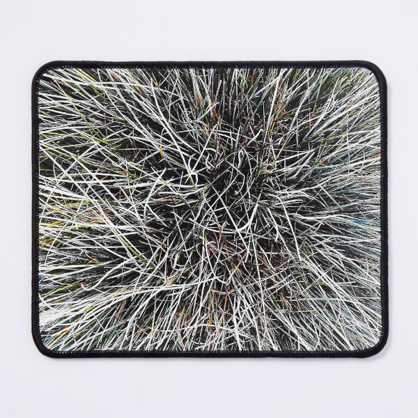 Item preview, Festuca Glauca - Abstract Energy of Nature designed and sold by Art-Arcade6.