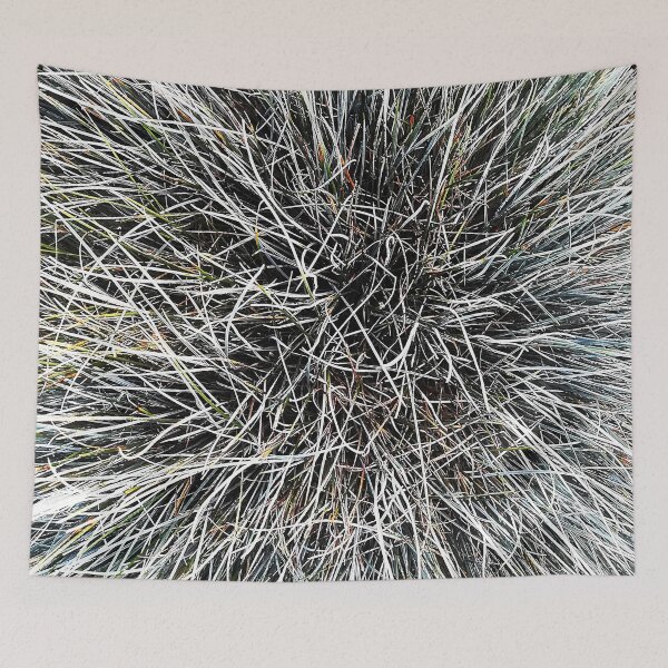 Item preview, Festuca Glauca - Abstract Energy of Nature designed and sold by Art-Arcade6.