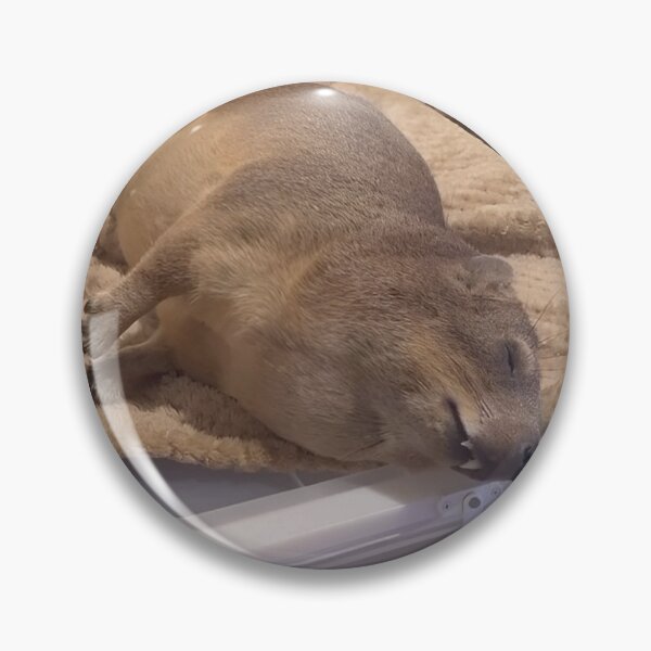 Artikelvorschau, Sleepy Awawa (Hyrax) – Lustiges, entspanntes Tierdesign entworfen und verkauft von hyrax4life.