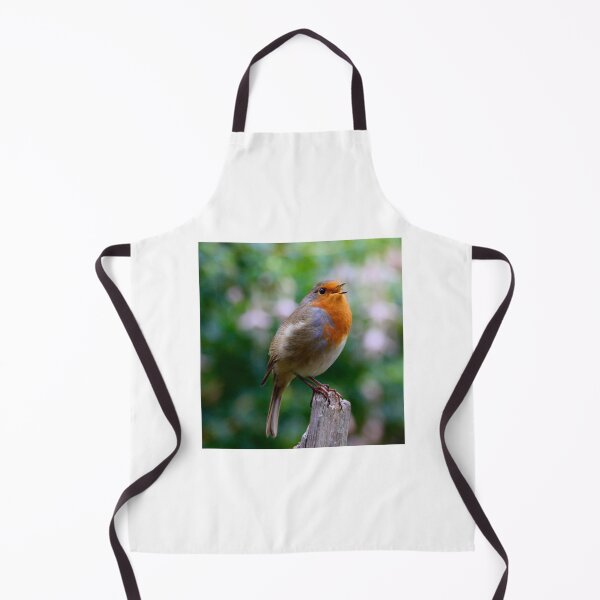 Item preview, Beautiful Robin bird full of character  designed and sold by Ribster13.