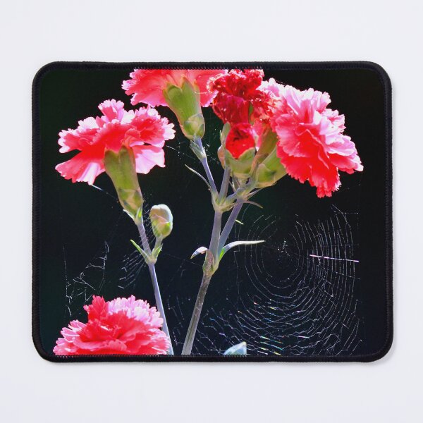Item preview, Carnations with a web  designed and sold by Ribster13.
