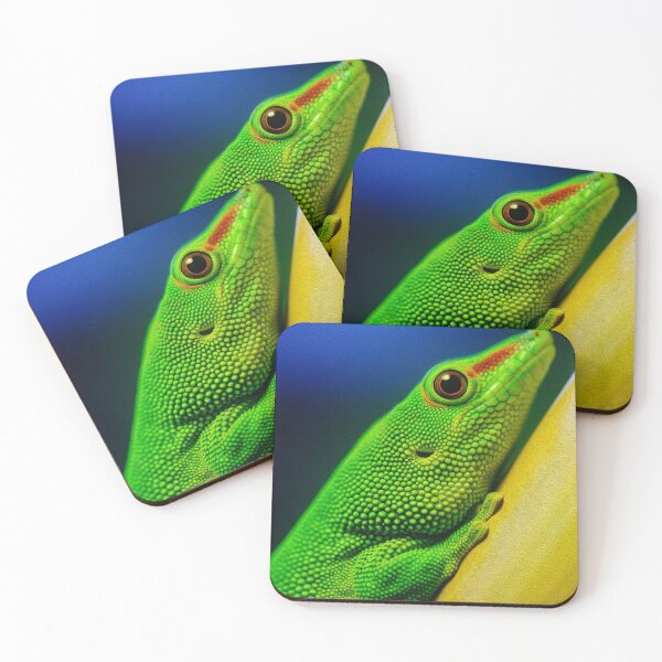 Item preview, GECKO  designed and sold by johnnyssandart.