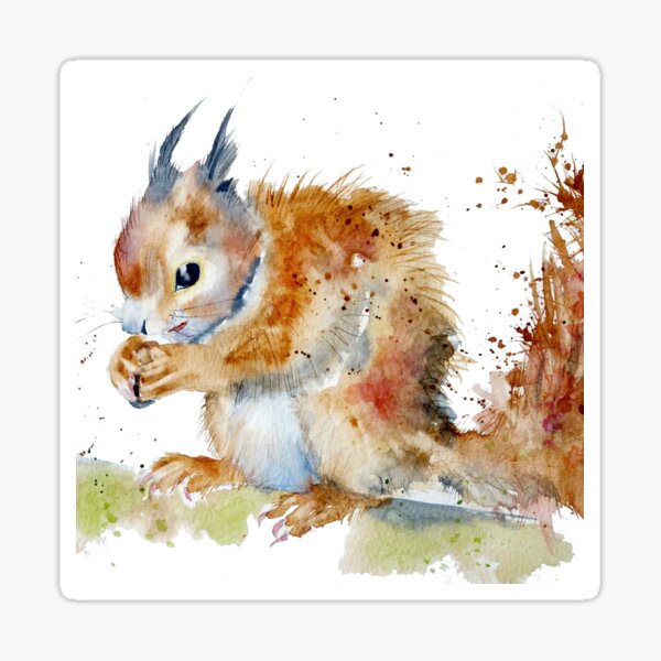 Red Squirrel Sticker