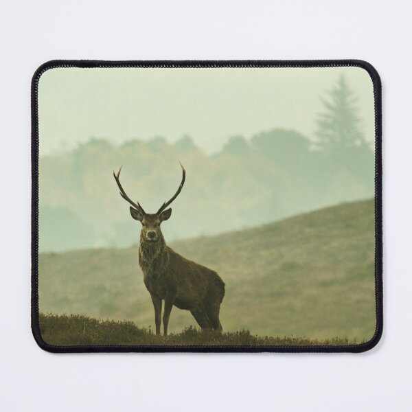 Item preview, Red Deer Stag Mist Scotland designed and sold by Macrae images.