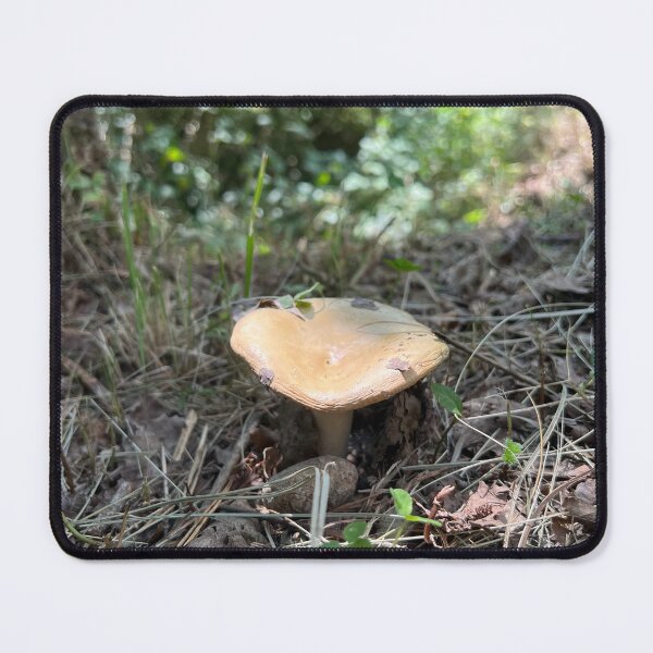 Item preview, Spanish Forest Mushroom designed and sold by AOSPrints.