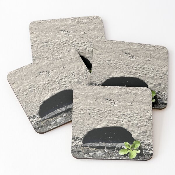 Item preview, We Thrive in Bleak Conditions designed and sold by Twinflower Opossum Art.