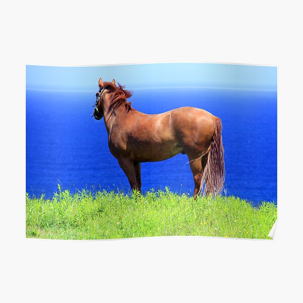 Pegasus Poster