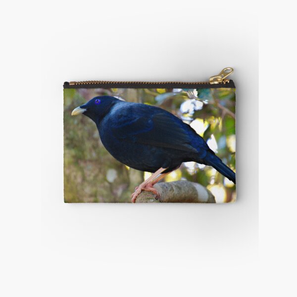 Item preview, BOWERBIRD ~ Satin Bowerbird (m) DJIYKH48MMW by David Irwin designed and sold by tasmanianartist.