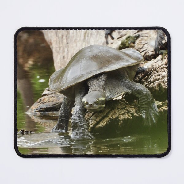 Item preview, check the temperature before you go in  designed and sold by Mark Grimsley.