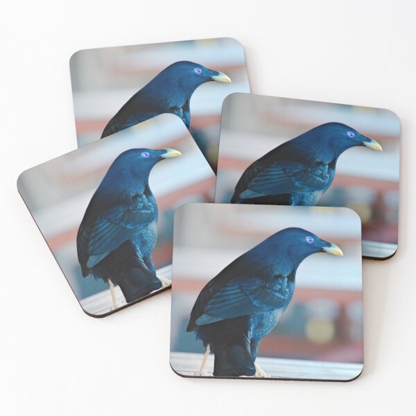 Item preview, BOWERBIRD ~ Satin Bowerbird (m) DJIANFDWZBN by David Irwin designed and sold by tasmanianartist.