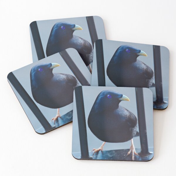 Item preview, BOWERBIRD ~ Satin Bowerbird (m) DJIBFAARNZK by David Irwin designed and sold by tasmanianartist.