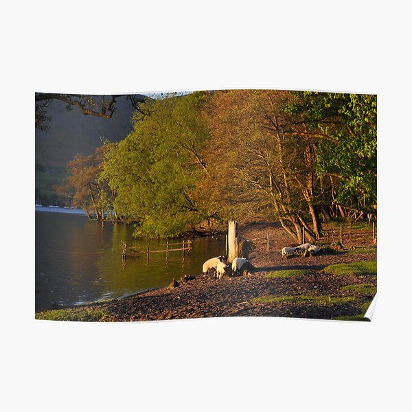 Early morning at Ullswater Poster