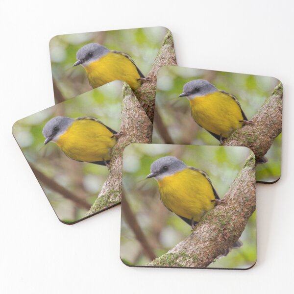 Item preview, ROBIN ~ Yellow Robin DJILPQJYADT by David Irwin designed and sold by tasmanianartist.