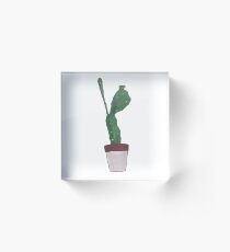 Cactus 01 Acrylic Block